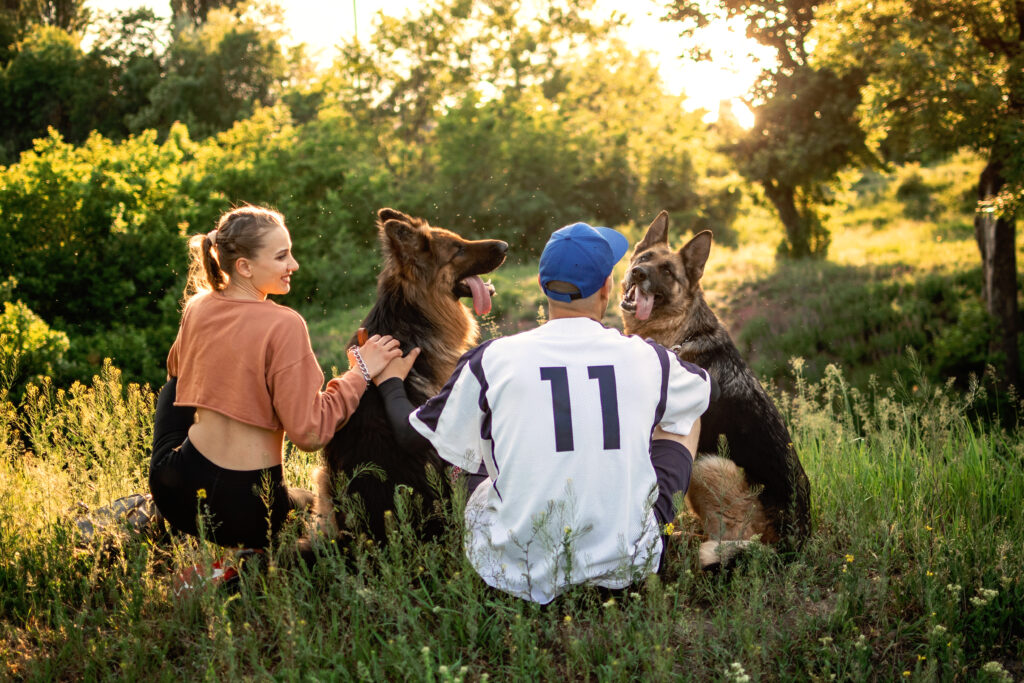 best dog training equipment