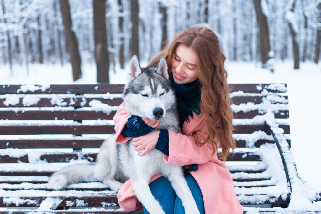best e-collar for siberian husky