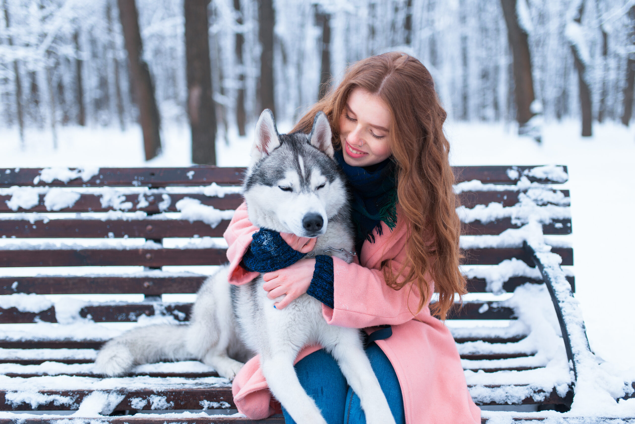 best e-collar for siberian husky