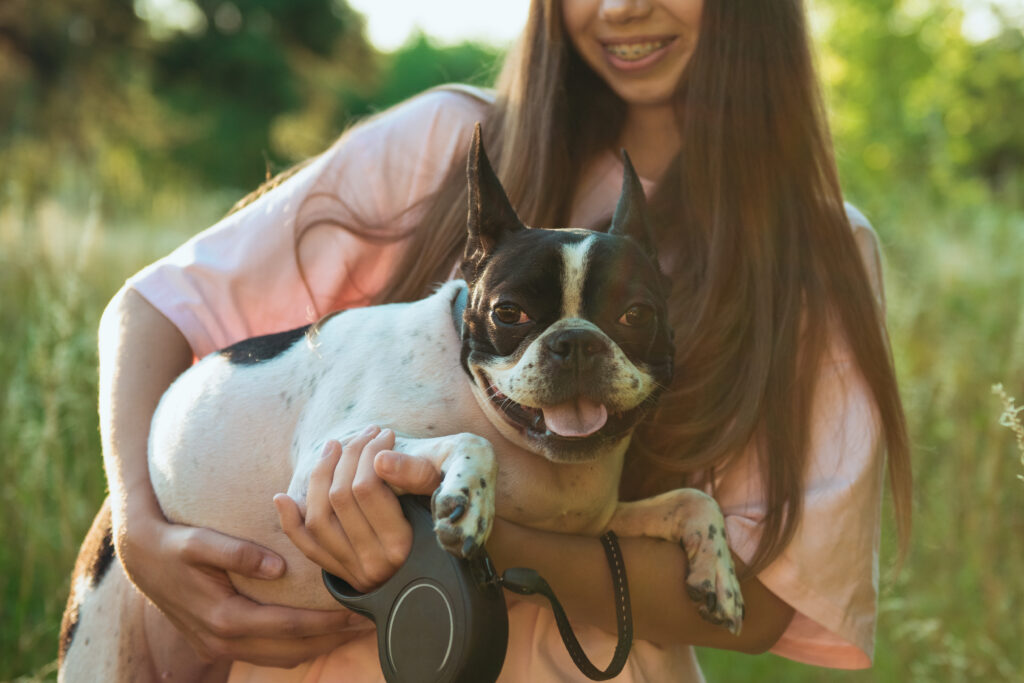 E-Collar Training guide