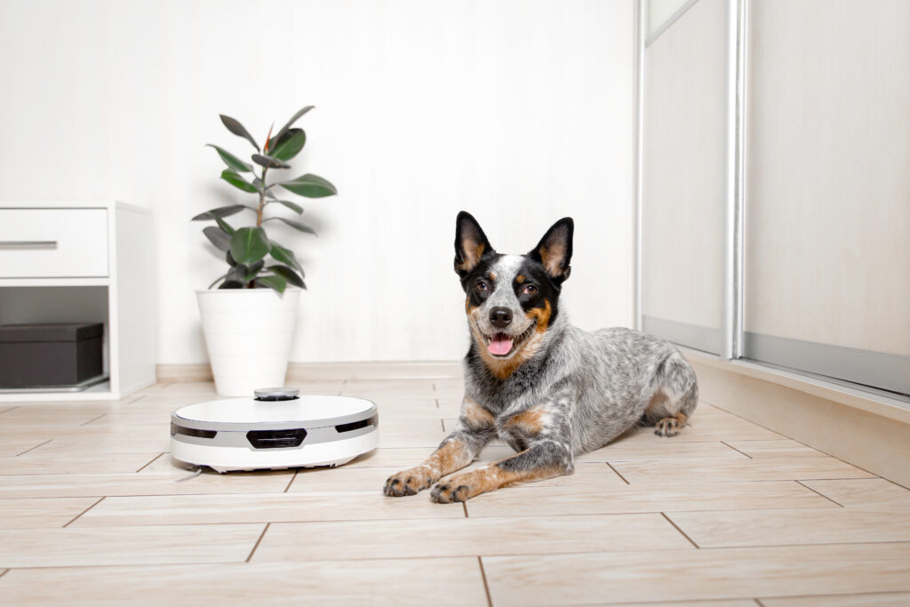 Can AI Help You Decide When to Start E-Collar